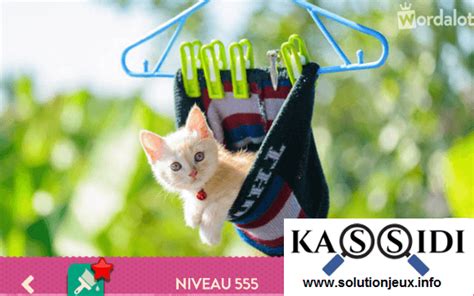 Wordalot niveau 555 Solution et réponse .